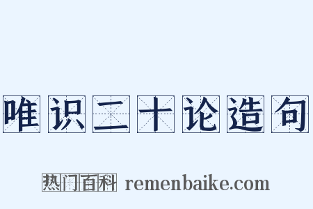 唯识二十论造句是什么意思的图片